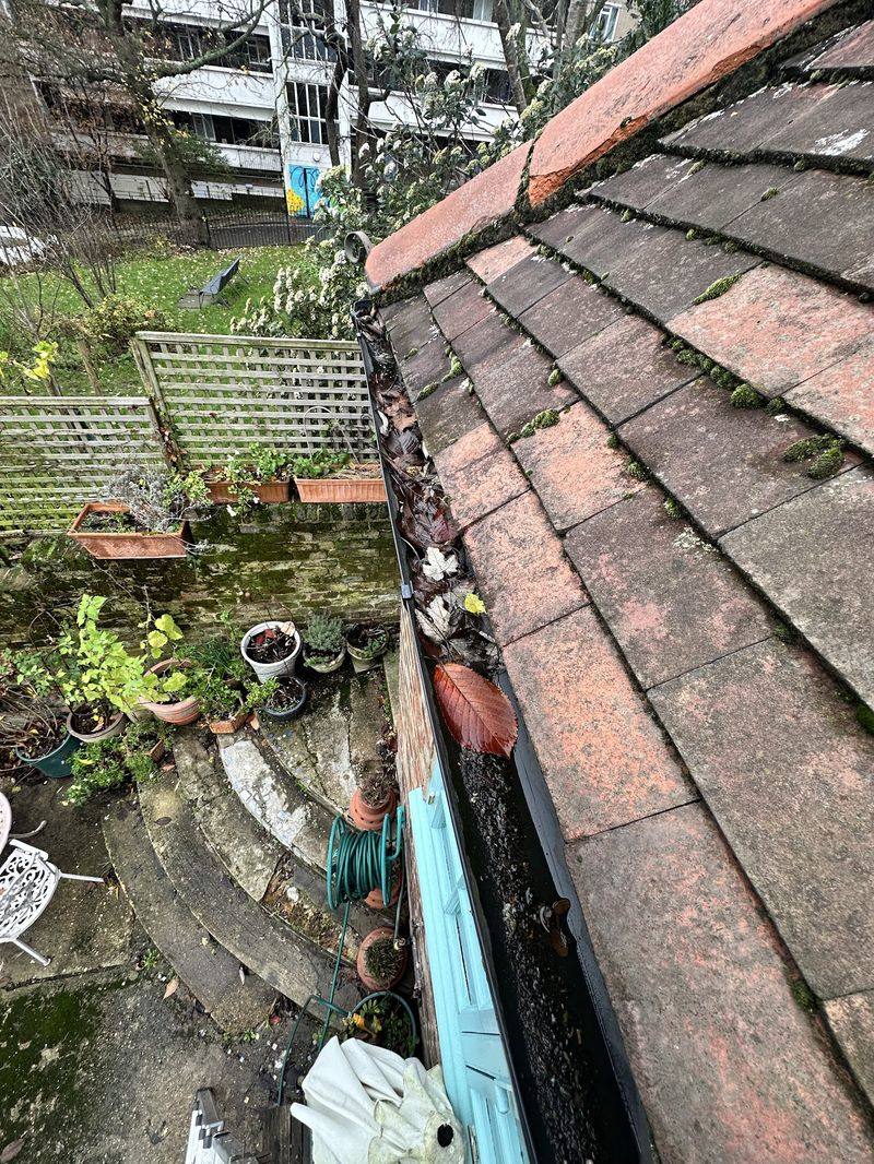 A tiled roofline with the gutter being cleared of leaves and moss by Platinum Handy Services, garden visible below.